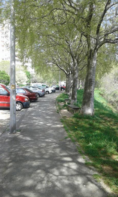 Apartment Skyscraper Maro Rijeka Eksteriør bilde